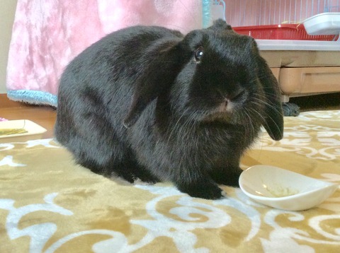 01345936-12B6-4B3E-B88A-17F88BDAE7DC