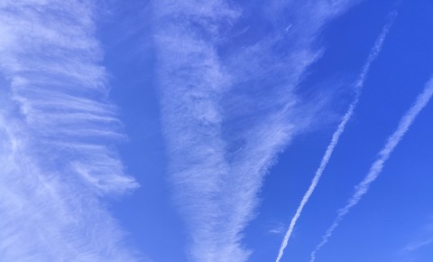 0781DB53-FB5B-45D7-BD3E-7DD27B82B0E4