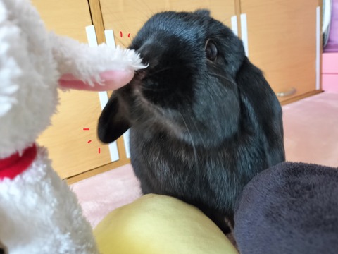 F9E97BF5-7B41-4BF7-B054-D9033AEDC69A