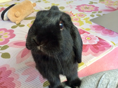 E3A07ACC-7BF7-4EC2-83B3-F790ED7A7971