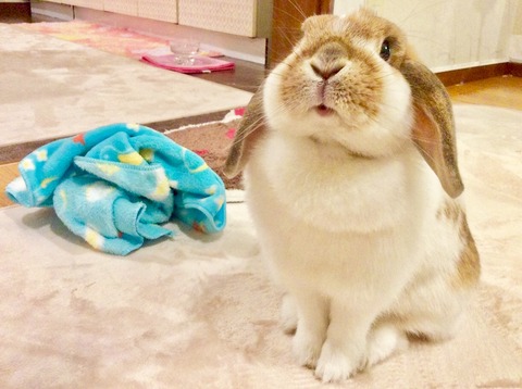 00C51BD0-E3C2-4E15-BBB6-7676F8146B91