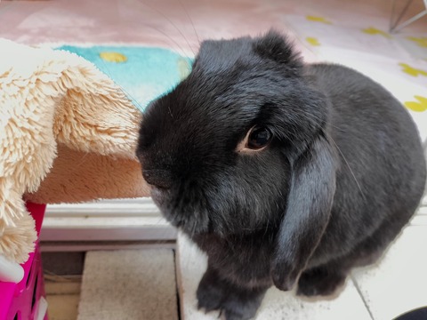 ADA153E9-4B76-427D-8B42-D48701FAC8E8