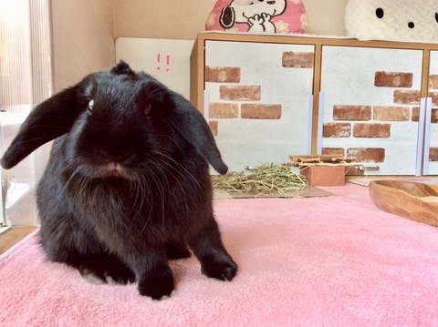 E485AC06-0FDB-4E94-94AF-0884B363664E