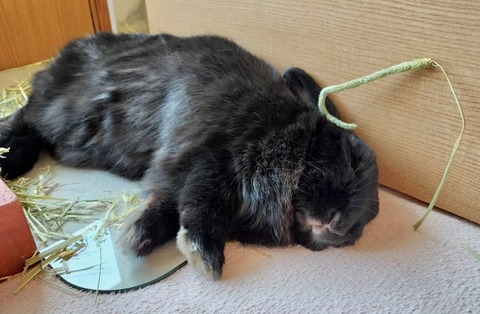 868D821B-BE06-4893-9F96-F6AB623E75D1