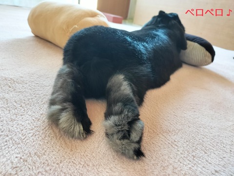 4C8E0117-7097-45C9-911C-4B194D758435