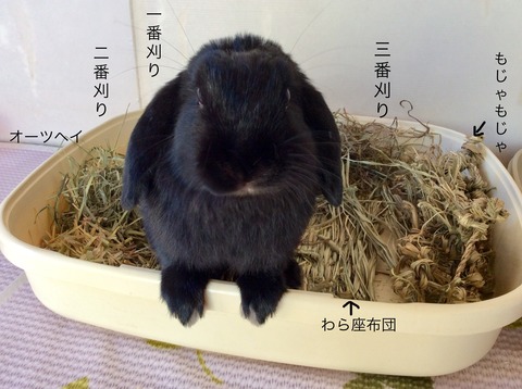 B18420DF-E120-4500-A8A0-B21CAF9E133A