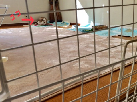 9B5F6C6B-0229-4381-A9E0-BF29287315FE