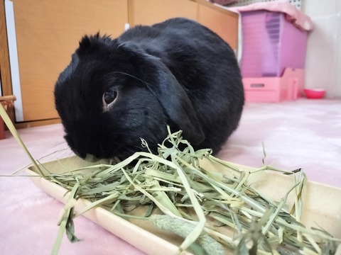 B6C2529A-1F5A-4162-A9B0-D52AA601FD1B