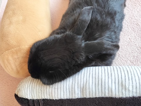 0F1FFBED-2E6E-4574-81AD-5E7499764B93