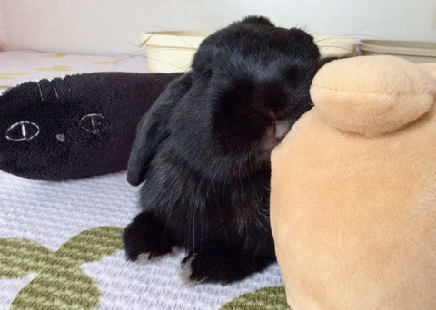 6EFB79C2-3483-44BF-8771-469FF6A783B9