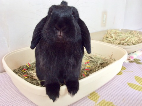 36D86A0E-1AC7-4198-9564-1549A2998A6F