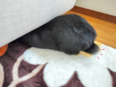 A94956E5-2322-4667-9315-679D19BF6CFD