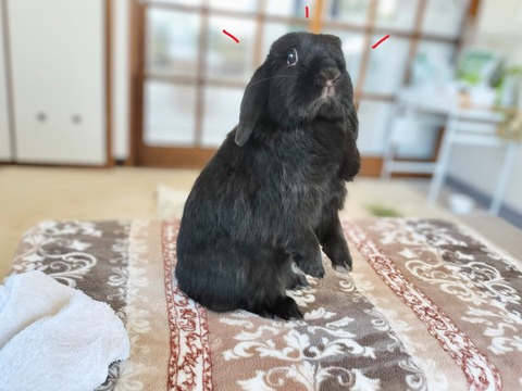 1B9F2330-225B-47FC-8F88-7C392FC23A72