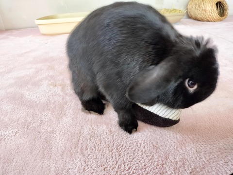 75D2A324-A9FB-4045-8904-FA9E2E1560CF