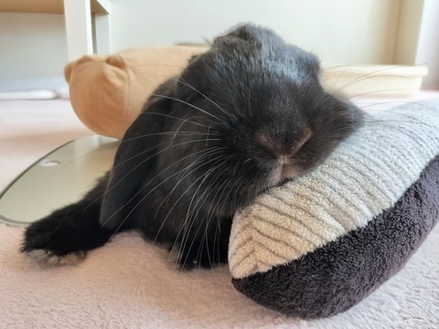 0A3A06F9-70D1-45FE-8E8D-AFB9A996AAA3