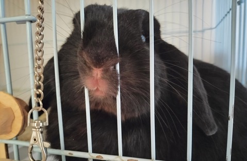 F0FEC7B3-E666-4374-91F4-E7CE7BA8BBC2