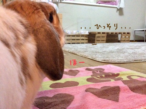 93278D06-80E3-40B3-B0F6-FEAC693C230A