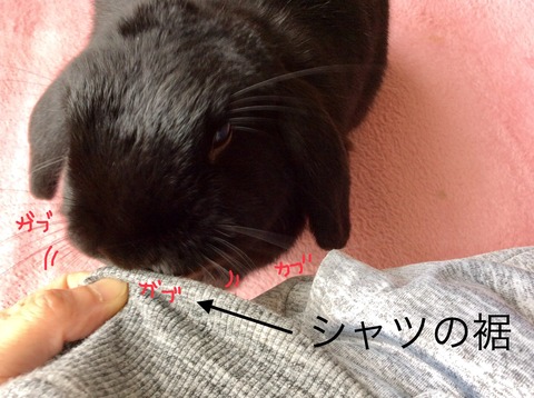 9D5BC5F8-58DC-4F06-9A93-EC8D9AD1EEA2