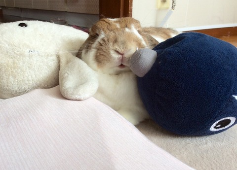 9D851D40-1AA3-48FA-BA0D-E10CFFB80C53