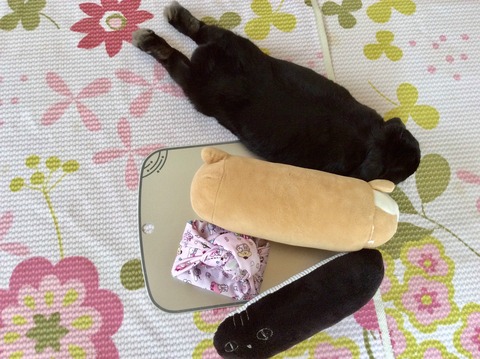 F802AF13-6783-46D4-A163-CD9E3F1E4D2B