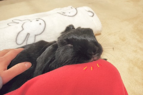 F208C240-4B27-4F68-9B84-1D43C6D9D021