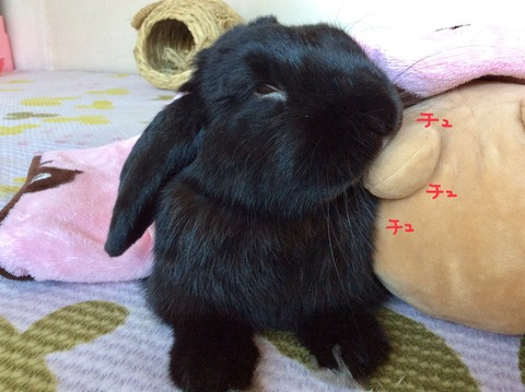 AA39AD75-778B-4655-9C43-BDF0C64F6E3D