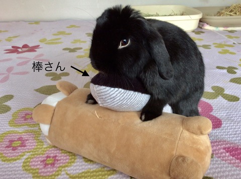 9B6A946F-B817-4381-A953-14D26EB86070