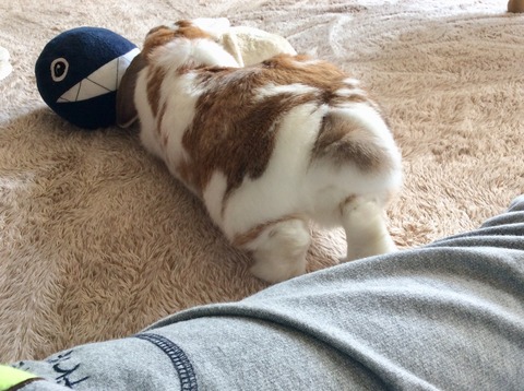 EDA2CCA3-D7A7-4082-BBD9-E950BF789309