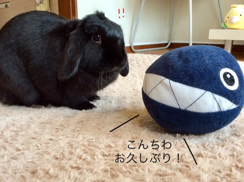 507CE3CC-68BB-46B8-A6C4-960564F9903D