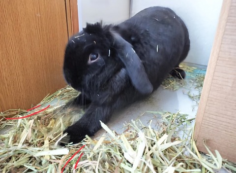 9DCF9C76-4F66-4C31-9879-E461306D17A2