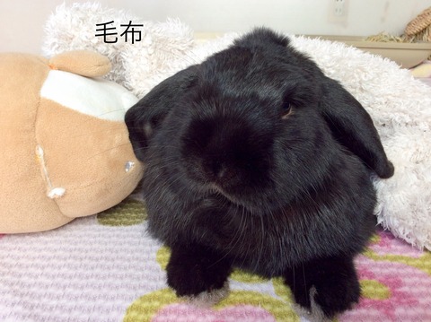 A18BDDBE-9B08-4555-8BF6-DBAD9791029E