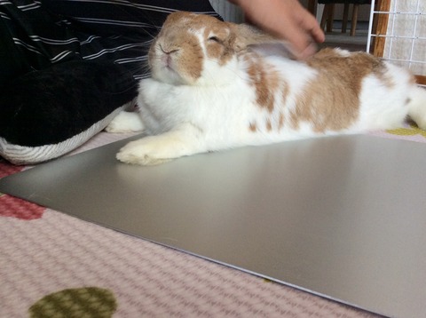 018A47EF-6140-438A-8255-25B7790861F8