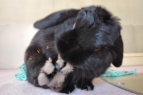 44A42E12-6258-43C5-8207-18EC163BB8E2