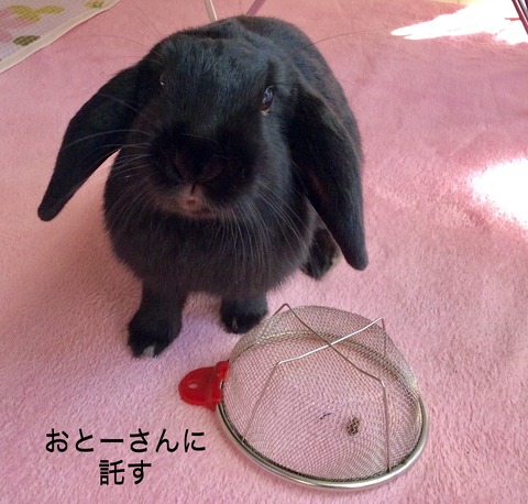 2F130DB6-08E3-4ABE-AA75-ECBDD09FBD70