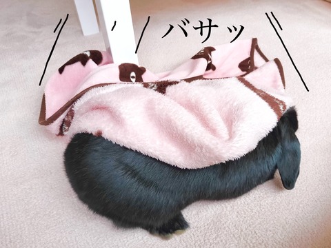 1392B8C7-0DA7-4226-8079-BE32F1B1144A