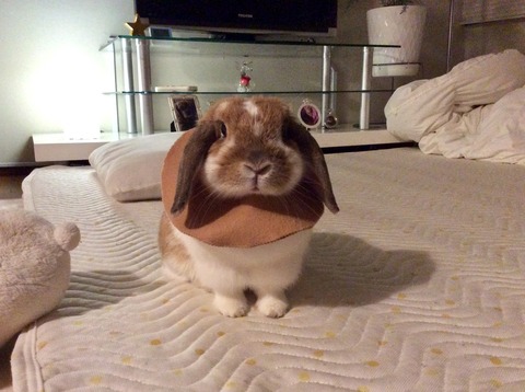 0B93501E-8B94-4B40-9169-19685C13F485