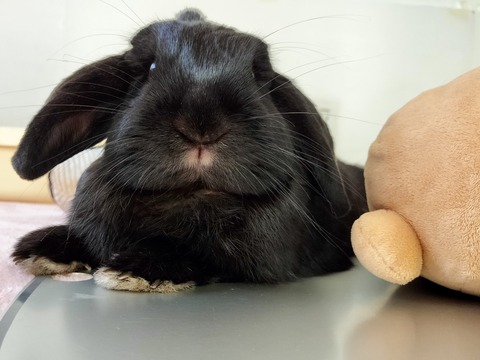 F352B673-1F65-40F7-828C-93030739823F