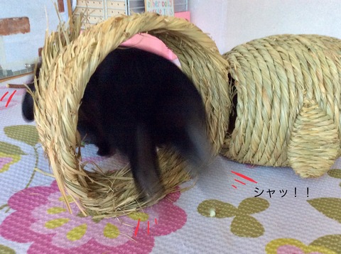 16C8A560-AC47-4B1C-B9CB-57AD7E0972C1