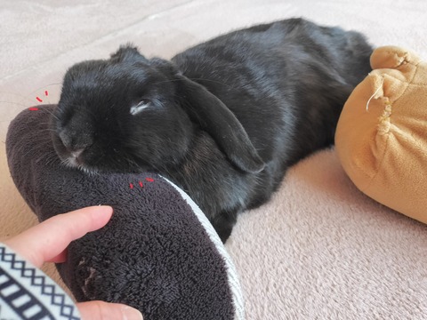 C9065ED6-D69D-477B-97A6-706CB3897ED0