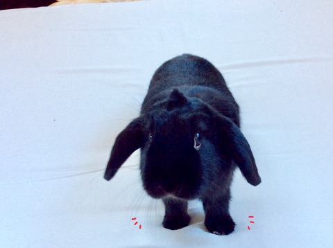 7DCF9A79-DE36-4C8D-A952-C396F0397BC4