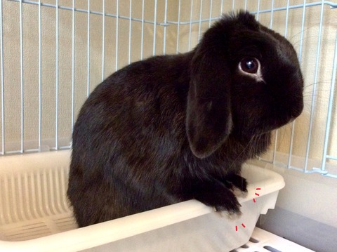 13EF7964-AEA7-4727-9F39-26264A4B5996