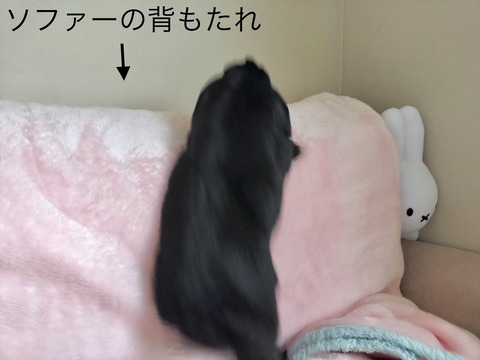 CF99C4BC-DFF6-4AEB-A4D5-D5CA0A60EE54