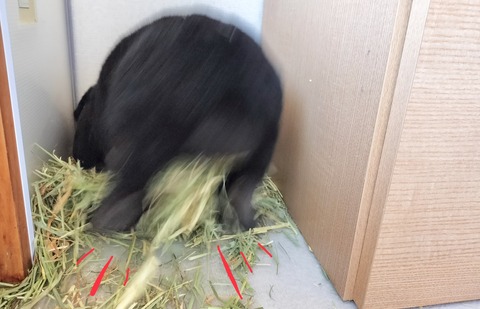 00E4E314-F644-4DC5-A863-E509DB0ED3A5