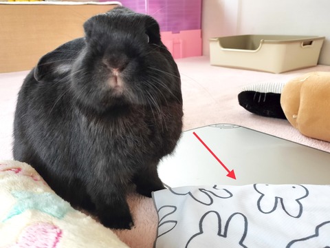 6D9F6428-0C26-4E67-9616-8C775D463465