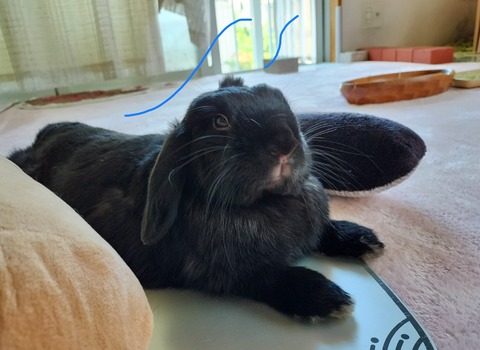 E4E3AF23-D8BC-4E39-B907-B1207861E9F6