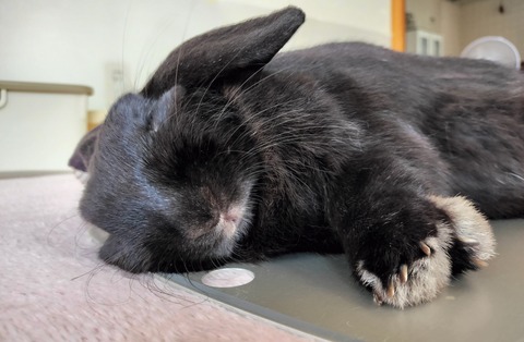 5C65B89A-4615-4D83-BDF3-0364601CFEFC