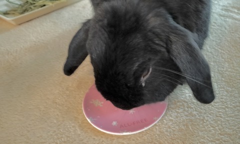 542C92F9-B83C-46B2-90F2-2CA88422FE60