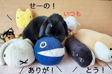 969CBFDB-EC8F-4041-95DF-3FE9EC22D94F