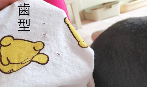 0E934C8D-95AB-4186-A557-1727144E229C