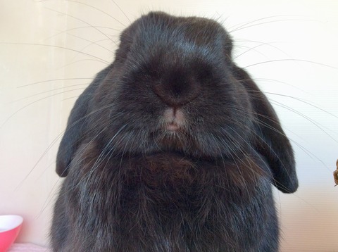 BA666BAE-E45B-4CE1-B4CC-4E7D93A64184